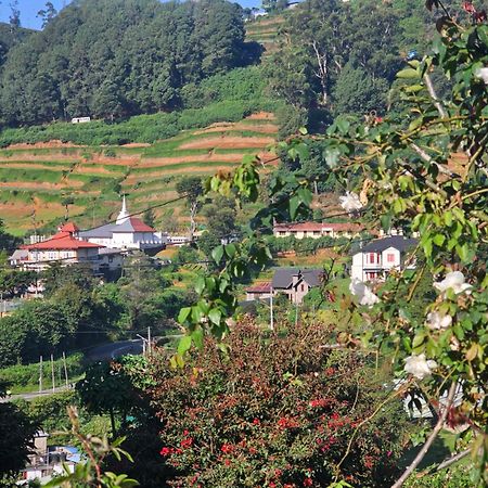 بيت شباب Haven Backpackers نوفارا إيلِيا المظهر الخارجي الصورة