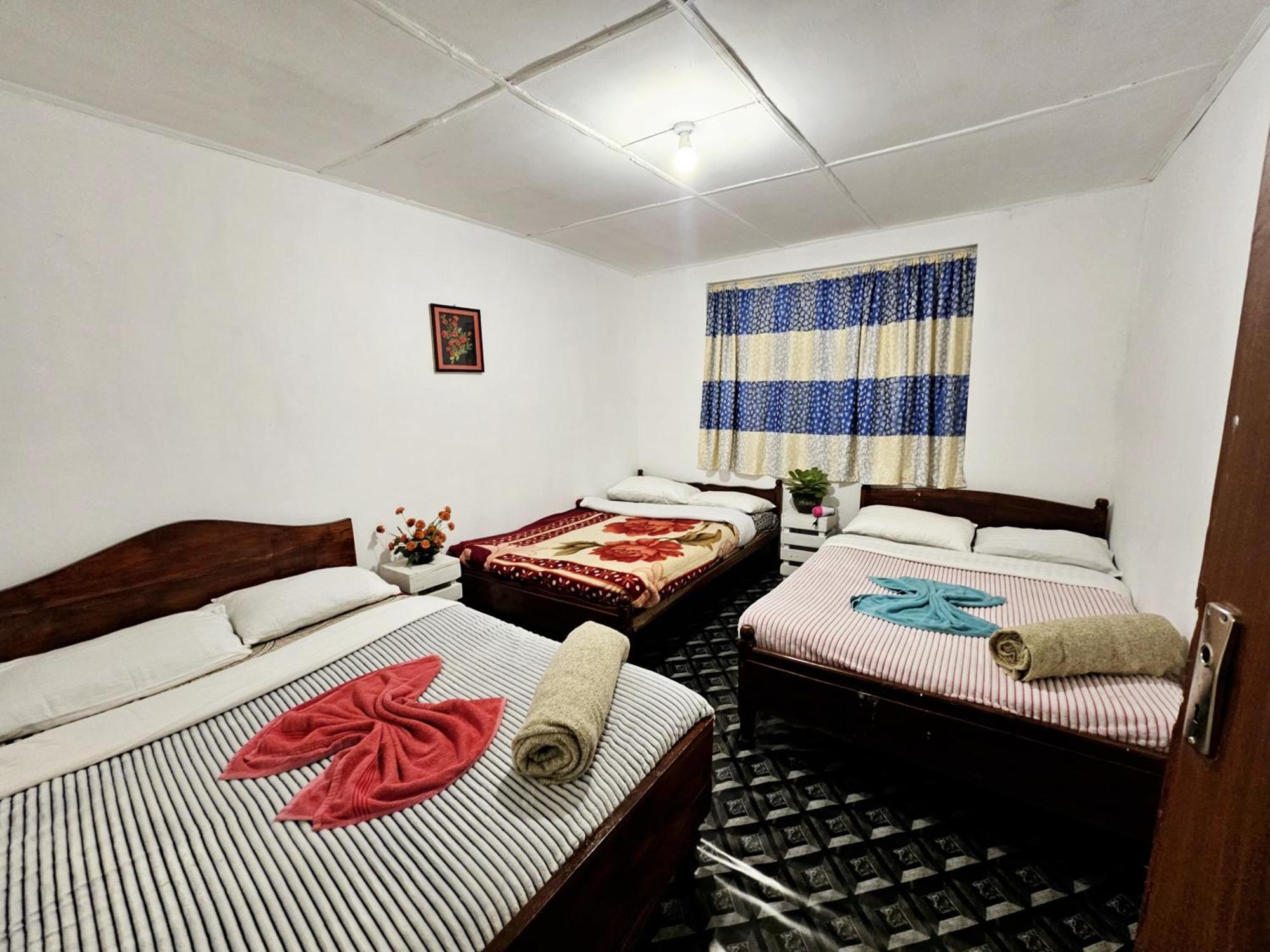 بيت شباب Haven Backpackers نوفارا إيلِيا الغرفة الصورة